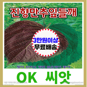 [OK씨앗] [진향만추잎들깨] 잎들깨씨앗 종자(오케이씨앗), 1개