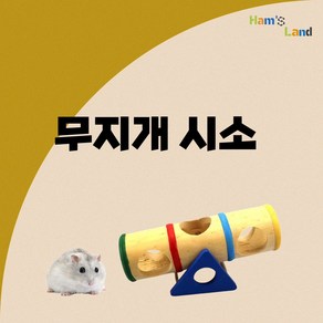 햄스터 무지개 시소, 1개