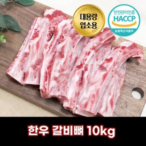 디에스미트 한우 갈비뼈 생갈비뼈 대형견 수제간식 강아지간식 10kg, 1개