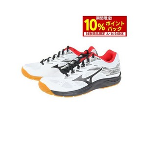 미즈노 MIZUNO 남성 여성 배드민턴 슈즈 스카이 블라스터 2 71GA204509 110552