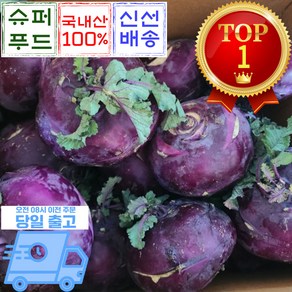 믿고마트 국내산 햇 콜라비, 5kg, 1박스
