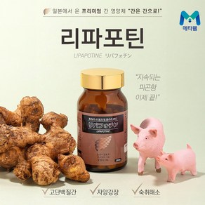 메타웰 리파포틴, 단품, 단품, 1개, 180정