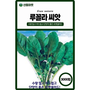 산들마켓 루꼴라 씨앗 3000립 수량 많고 부드럽고 단맛이 좋은 로켓샐러드 고급 품종 종자, 1개