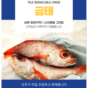 [산지직송] 청정 바다에서 어획한 금태(3미 총600g), 1세트, 600g