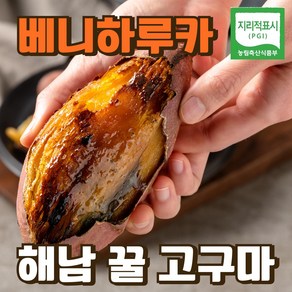 (특상)베니하루카 밤 호박 꿀고구마, 1개, 3kg(특상)