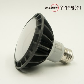 장수램프 LED PAR30 15W 확산형, 주백색, 1개