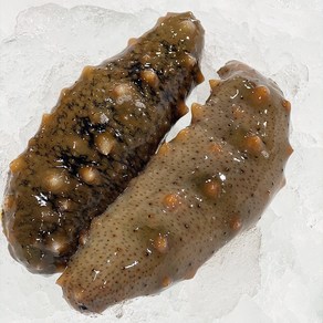 신선푸드] 청정 통영앞바다 자연산 참 해삼, 1박스, 500g