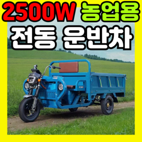 MoveTec 2500W 농업용 운반차 전동 트렉터 덤프 트럭 화물 전기 대차 수레 사발 삼륜, 1개, 2m*1.3m-2000W 72v 45A