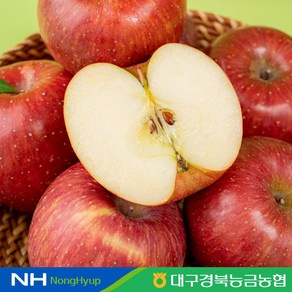 [대구경북능금농협] 청송 꿀사과 (부사) 정품 3kg (12-15과)