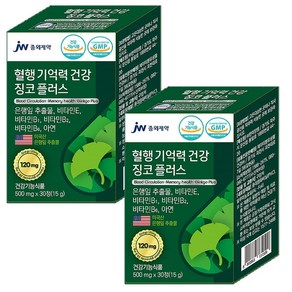 JW 중외제약 징코플러스 은행잎추출물(미국산) 120mg 비타민E 비타민B1 B2 B6 아연