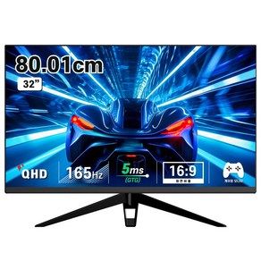 디엑스 80cm QHD 165Hz 리얼 게이밍 컴퓨터 모니터 D132EF-H2