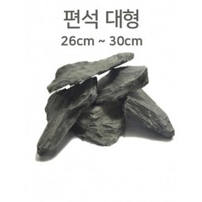 편석 대형 Size 26cm - 30cm급 1개/ 판석 납작돌 테라리움 거북이어항 수초, 1개