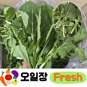 ( 오일장프레시 1호점 ) 국내산 유채나물 동초 시나나빠 시나난파 1kg 2kg 4kg 내외 겨울초, 1박스