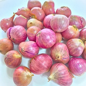 신선한 태국 샬롯 험댕 미니양파 shallot 100g, 아이스박스, 1개, 단품