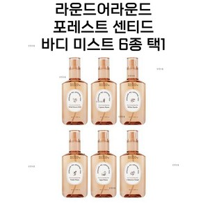 라운드어라운드 포레스트 센티드 바디 미스트 6종 택1, 100ml, 1개, 와일드 플러워 힐