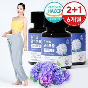건강머금 수국잎 열수 추출물 수국 국내산, 60정, 3개