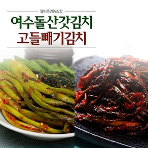 [KT알파쇼핑][웰빙촌] HACCP 인증 여수돌산갓김치1kg+여수고들빼기1kg, 1개