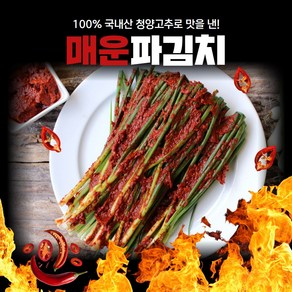 경자네 국내산 전라도 청양 실비 알싸하게 매운 파김치, 1개, 3kg