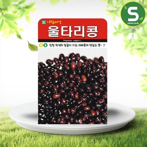 솔림텃밭몰 울타리콩씨앗 30g 울타리콩 재래종 콩씨 종자, 1개