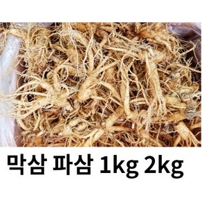 수삼 파삼 막삼 가정용 인삼 파삼 1kg 못생긴인삼 막삼 대용량, 파삼2kg, 1개