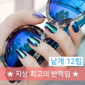 엔리안 메탈 샤프팁 선글라스 에디션 메탈팁 낱개 12Tips, 1개, SN-02