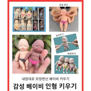 감성베이비말랑이, 일반(랜덤), 1개