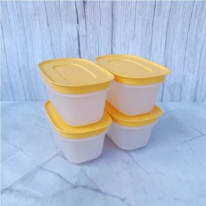 타파웨어 Tupperware 냉장 냉동밥 소분밥 전자렌지 용기 170ml 8종 세트