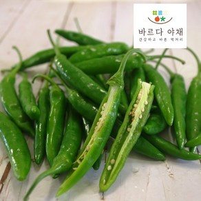 바르다야채 국산 청양고추 (신홍), 500g, 1개