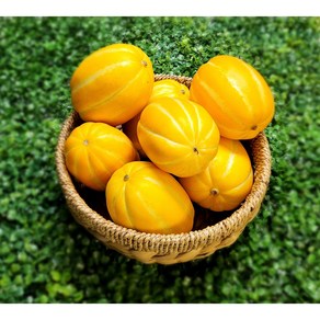 [오즈농장] 성주 프리미엄 참외 고당도 꿀참외, 1개, 대과5kg(10-15과)
