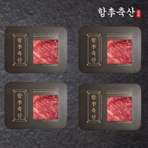 [당일발송] 부드럽고 고소한 1++등급 투뿔 프리미엄 한우 양지(냉장), 4개, 300g