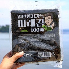 금복식품 입안향기가득 파래김 100매 생김 전장김 선물용 맛있는김 반찬용, 1개, 180g