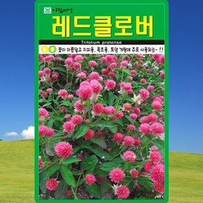 아람종묘 레드클로버 씨앗 20g 클로버 크로바 잔디씨 종자, 1개