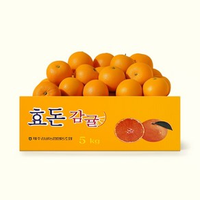 [특품] 프리미엄 제주 감귤 [로얄과] S-M 하우스감귤 1kg 1박스