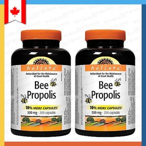 홀리스타 비 프로폴리스 500mg 200 캡슐 Holista bee popolis, 2개, 200정