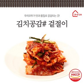 김치공감# (당일생산) 바로담근 겉절이 2kg 3kg 5kg