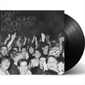 (수입LP) Liam Gallaghe - C'mon You Know (Gatefold)