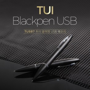 빅드림 TUI 블랙펜 USB 볼펜 4G 기가 기념품 단체선물, 단품, 1개