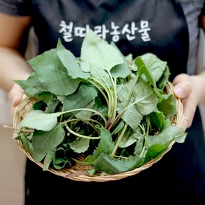 지리산 산 햇 생 취나물 봄나물, 1개, 1kg