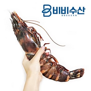 기타 킹블랙타이거새우 230~289g 32cm *2마리, 상세페이지참조, 2개