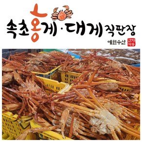 [속초 수율보장 홍게] 예원수산 제철홍게 라면용홍게 자숙(찜) 홍게택배, 3kg(9-11미), 1박스