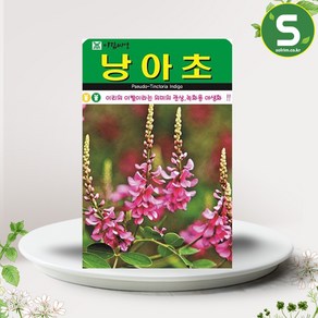 솔림텃밭몰 낭아초씨앗 500립 낭아초 꽃씨앗 꽃씨 야생화