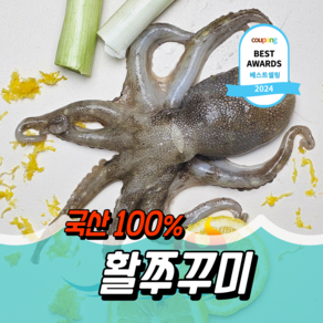 [산소주입] 동해바람 자연산 활 쭈꾸미 특품 1kg, 1개, 국산 조업 활 쭈꾸미 1kg