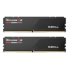[G.SKILL] DDR5 PC5-41600 CL40 RIPJAWS S5 J 블랙 [96GB (48GB*2)] (5200), 2개