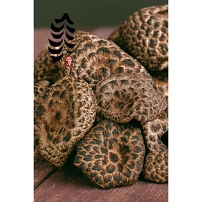 자연산 무농약 능이버섯 건조 특A급 (100g) 백숙용 능이버섯전문점용 [능이원], 1개, 100g