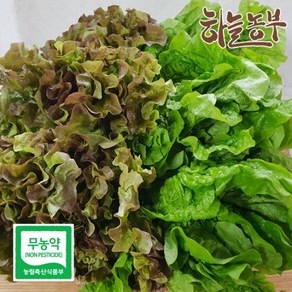 하늘농부 친환경 적상추 청상추 골라담기 상추 150g, 1개, 청상추 150g