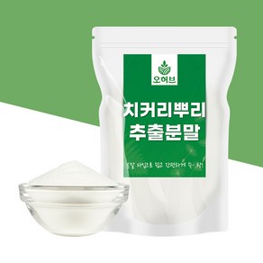 대용량 치커리 뿌리 추출물 가루 분말 500g