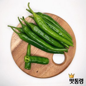 맛통령 국내산 오이고추, 1개, 당일경매 신선한 오이고추 2kg