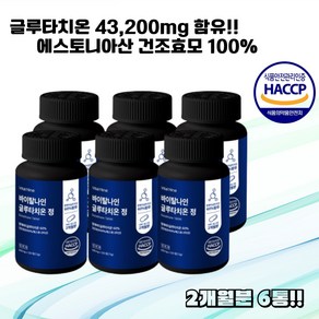 현스헬시 엥게비타 효모 글루타치온 정 600mg, 6개, 120정