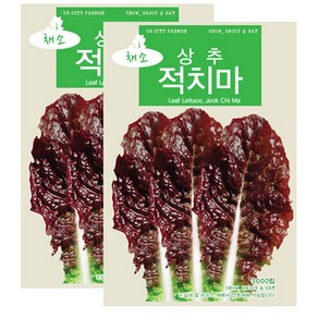 세인화분 적치마 상추 3000립 - 상추씨 상추씨앗, 2개