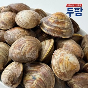 두팜 상합 1kg 20~25마리 내외(백상합)